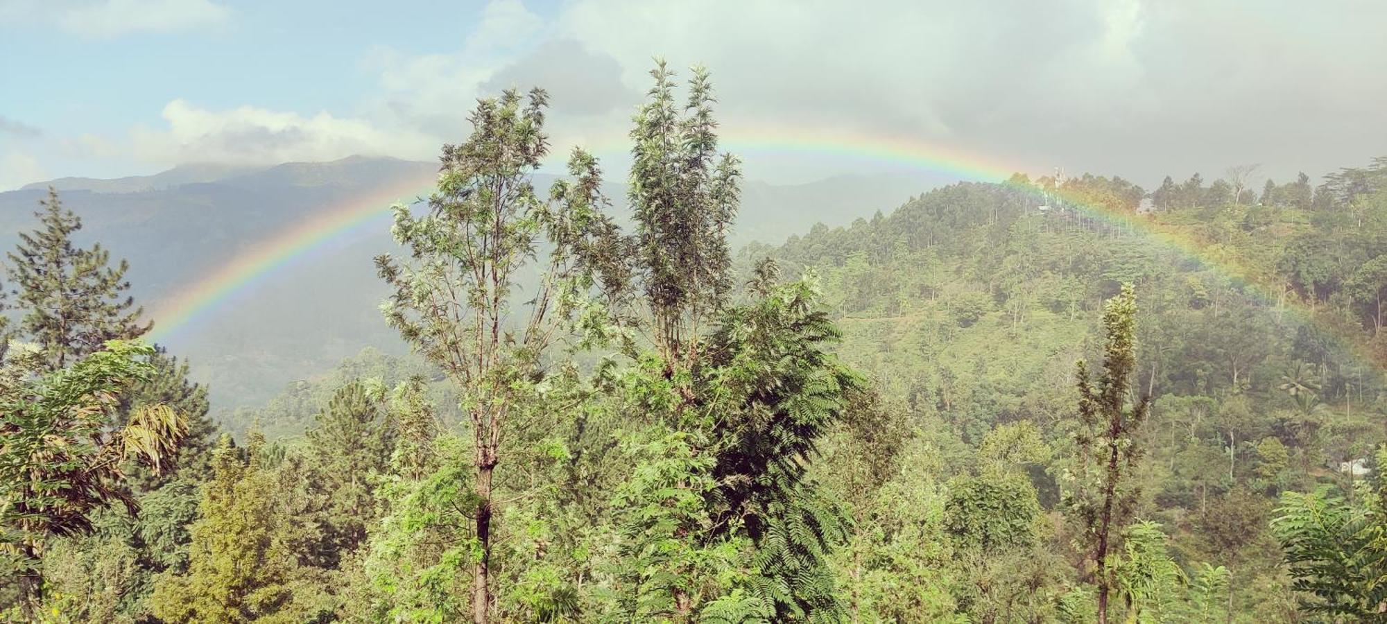 Rohana Estate Lodging & Camping Kandy Exterior foto